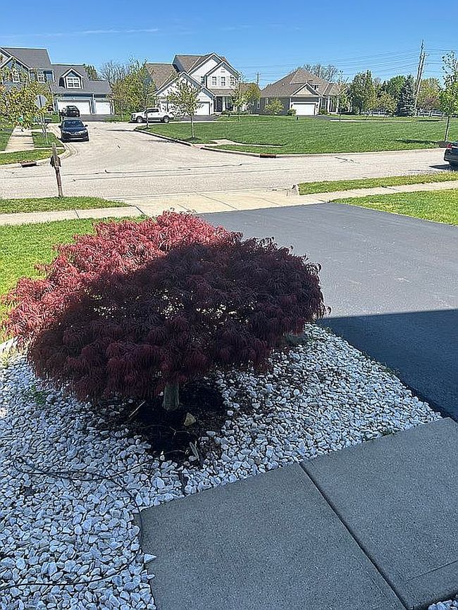 Photo of 6073 Baumeister Dr, Hilliard, OH