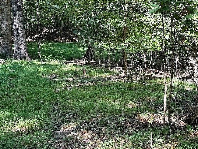 Photo of Indian Knoll Rd, Cumming, GA
