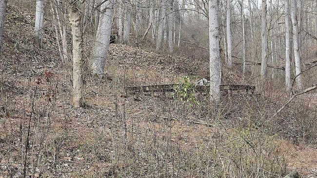 Image of 9 Sugarwood Dr
