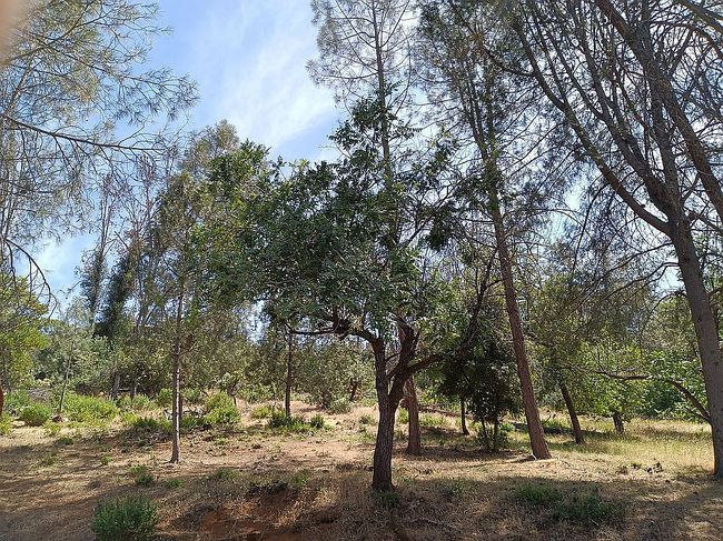 Image of 4995 Klamath Rd