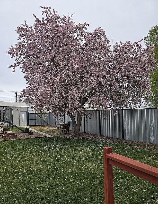 Photo of 1004 S Monroe St, Hugoton, KS