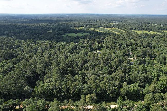 Photo of Swick Trl, Livingston, TX
