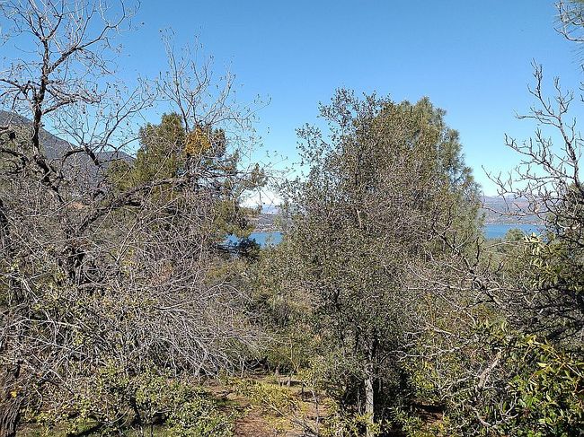 Image of 9960 Point Lakeview Rd