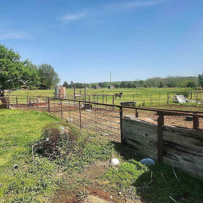 Image of 239 Skyline Dr