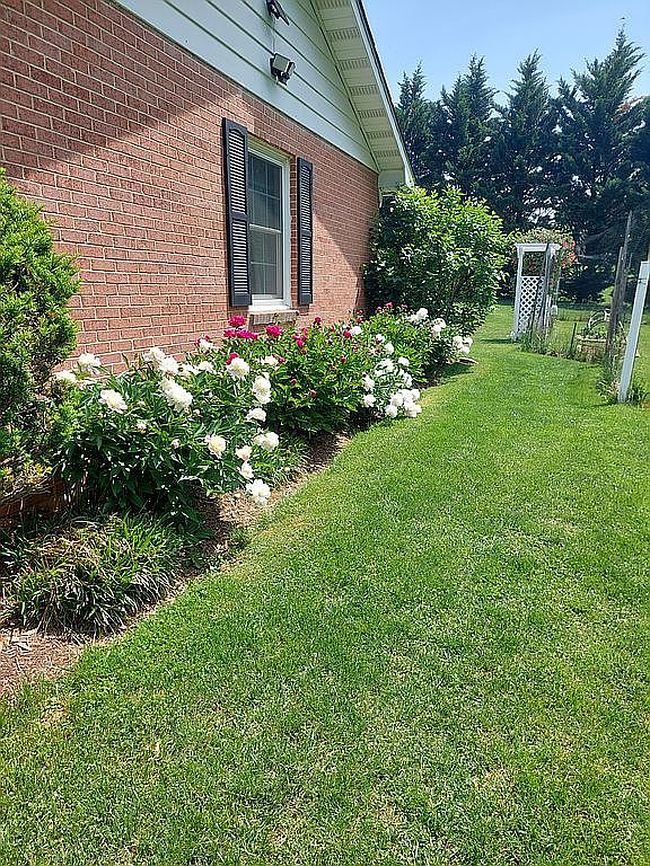 Image of 105 Beverly Dr