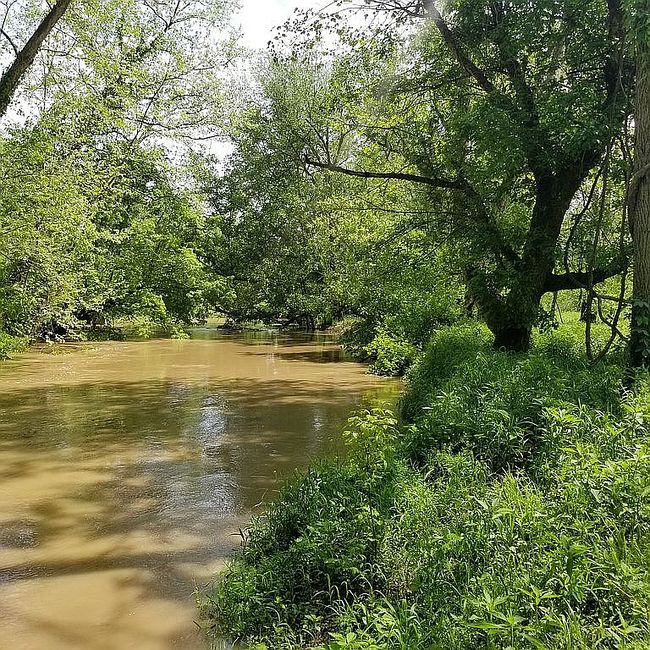 Image of 1171 Brohard Rd