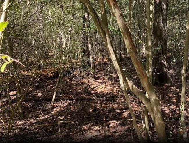 Additional photo 3 of property located at Arborgrove Ln