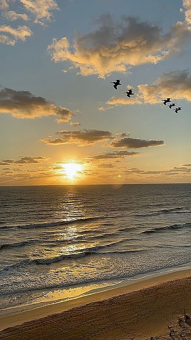 Photo of 1415 Ocean Shore Blvd Apt 804