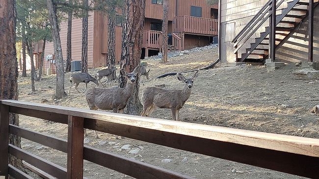 Photo of 303 Racquet Dr #18, Ruidoso, NM
