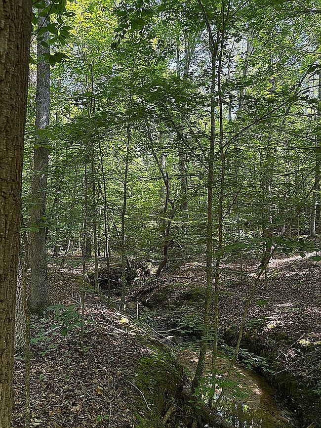 Photo of 6745 Rocksprings Rd, Sutherlin, VA
