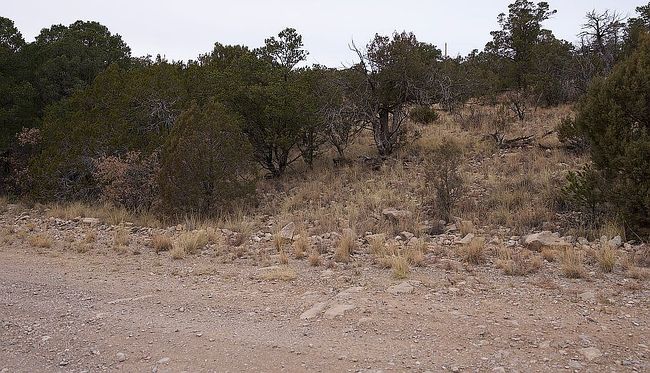 Image of 0 Ranger Ave