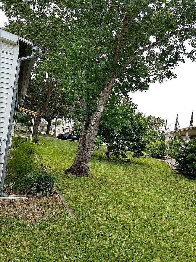 Photo of 404 Cooper Ln, La Feria, TX