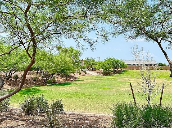 Photo of 17643 W Red Bird Rd, Surprise, AZ