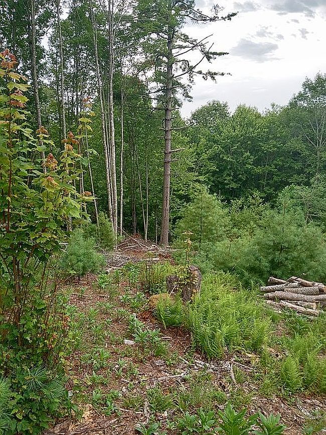 Photo of 253 Free Bird Dr, Jefferson, NC