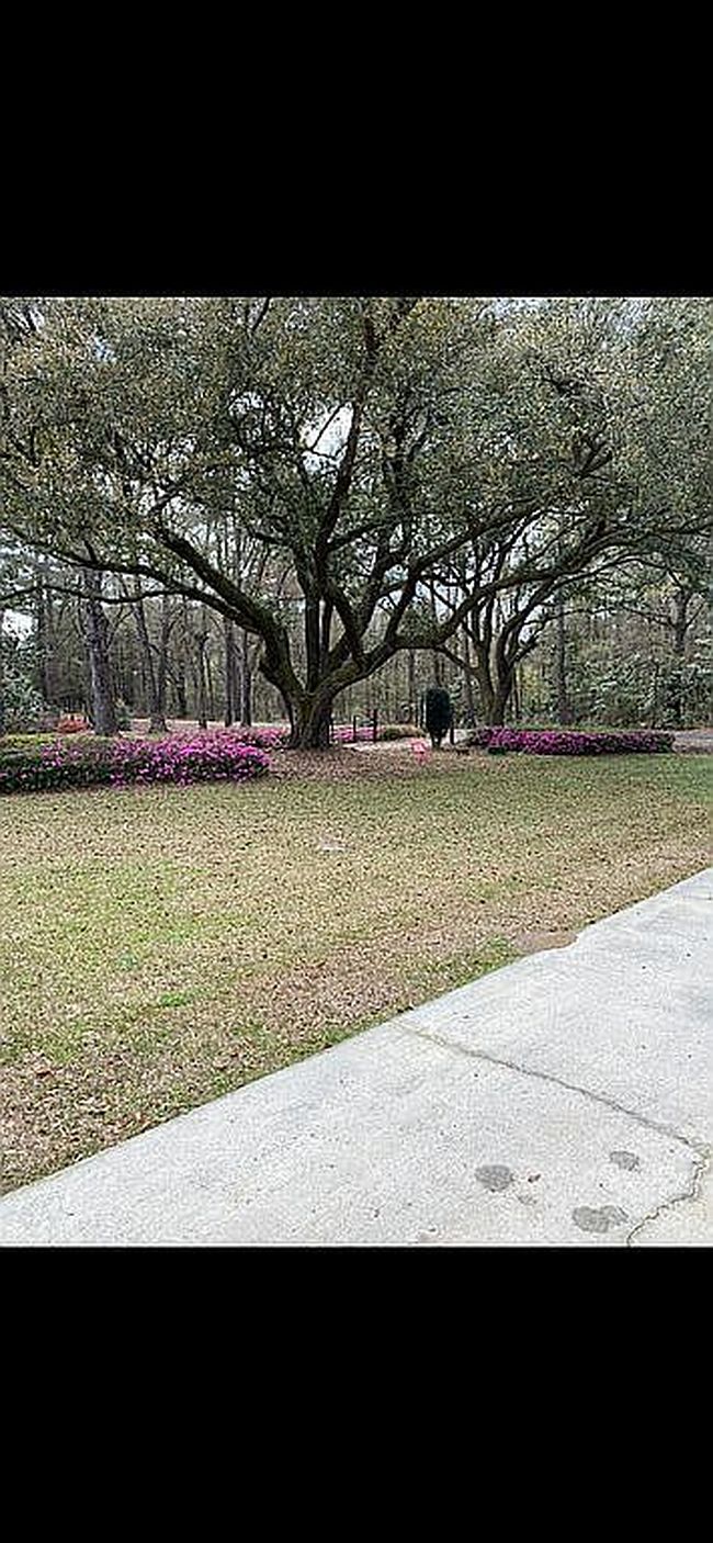 Photo of 4428 Maple Ridge Rd, Walterboro, SC