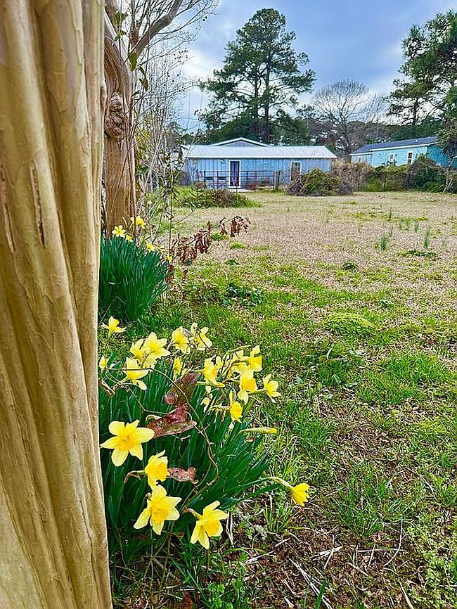 Image of 1036 George Daniels Rd