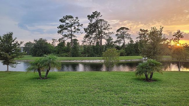 Image of 3879 Winged Elm Ct