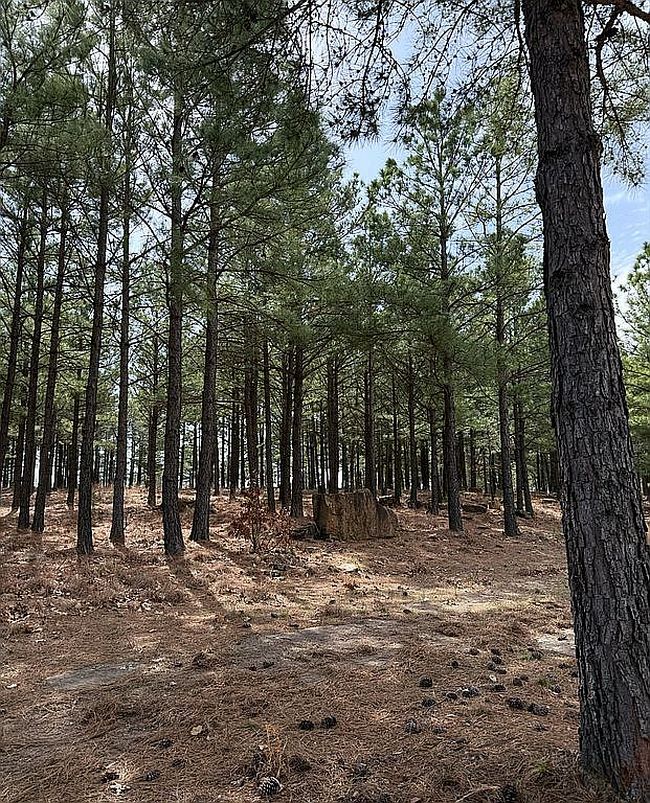 Image of 30150 S County Road 4430