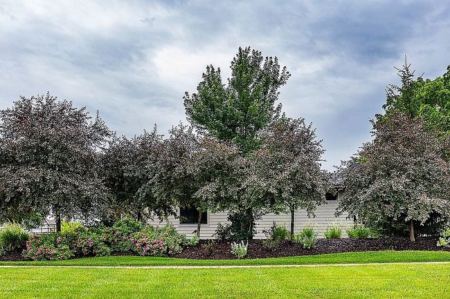Photo of 803 S 93rd St, West Des Moines, IA