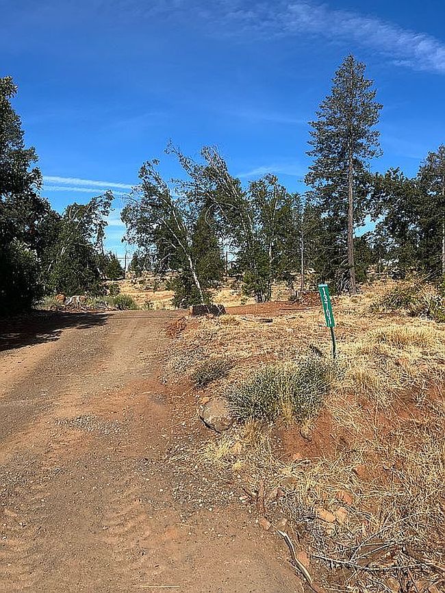 Image of 13701 Andover Dr