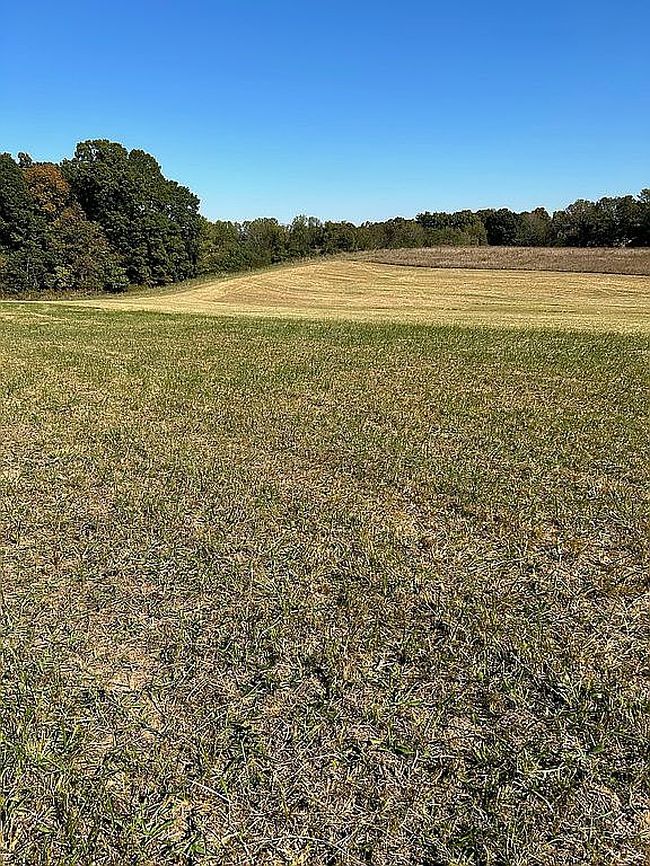Image of Owens Chapel Rd