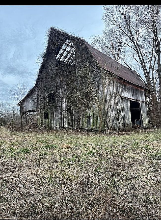 Photo of 3151 W Lake Rd, Murphysboro, IL