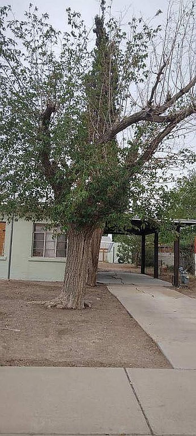 580 Bonita Cir, Las Cruces, NM