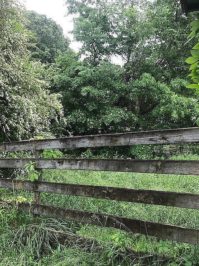 Image of 211 Lewis Brown Rd