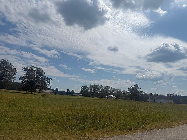 Photo of 4515 Golightly Ln Lot 25