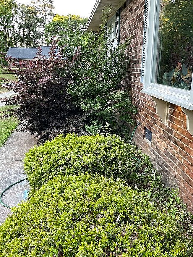 Image of 1001 Seabrook Rd
