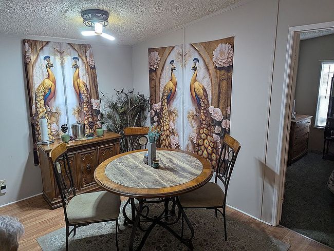 Photo of 51 Park Ave, De Leon Springs, FL