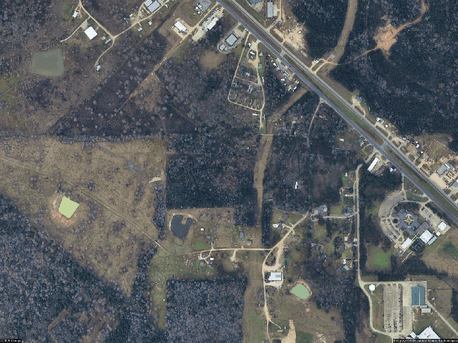 131 Harrell Rd, Livingston, TX