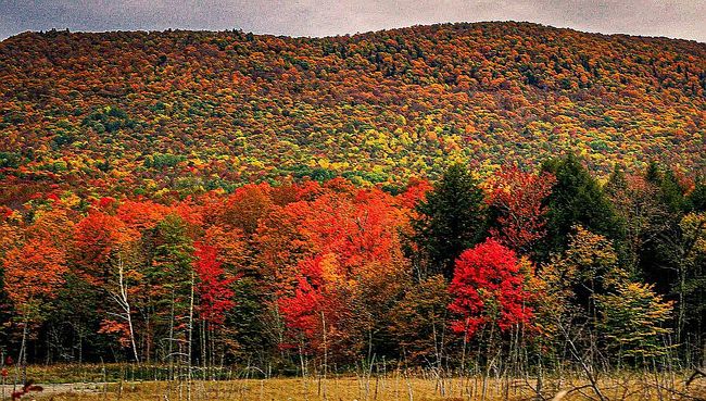 Photo of 544 East Rd, Tinmouth, VT