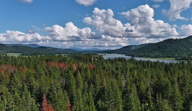 127 Lions Rd, Priest River, ID