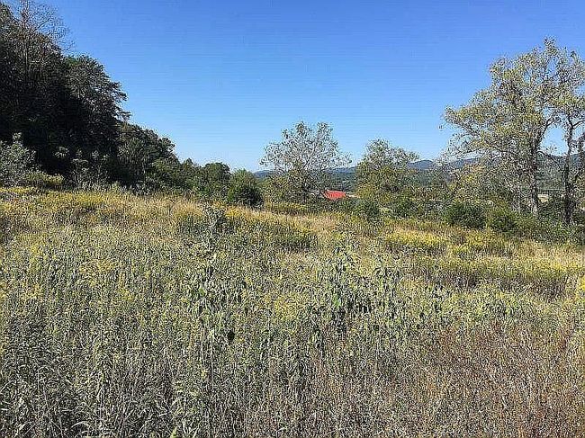 Image of 2373 Rocky Springs Rd