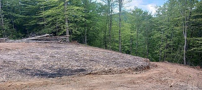 Image of 1143 Spaws Creek Rd