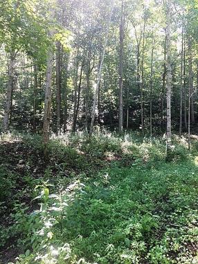 Image of 724 Sand Lick Rd