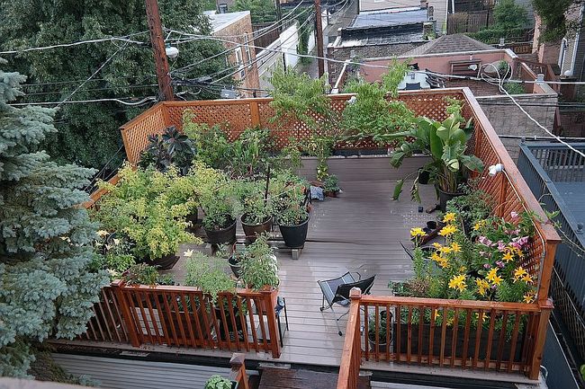 Image of 415 W Eugenie St