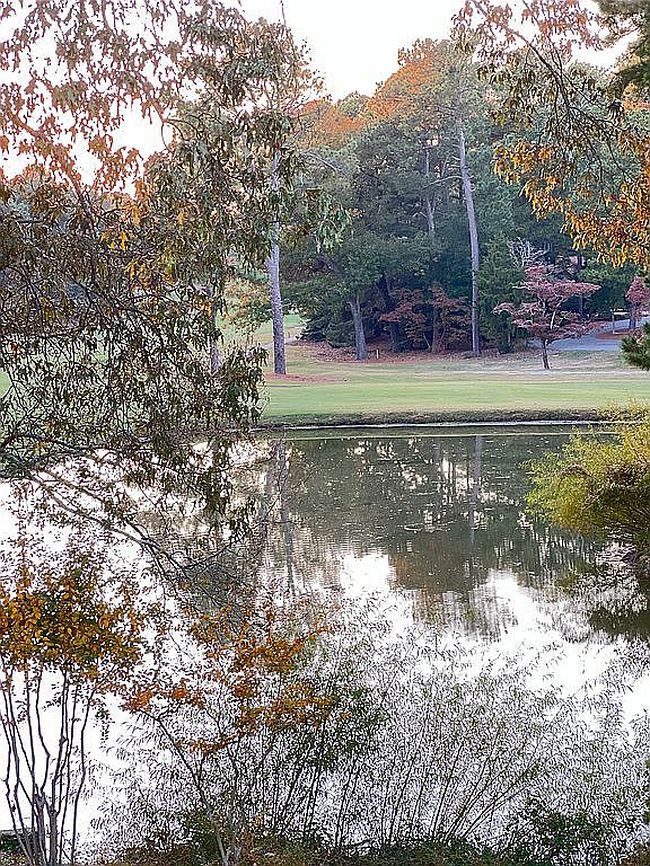 Photo of 10 Pine Tree Rd Unit 232, Pinehurst, NC