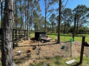 Image of 1365 Shedd Ln