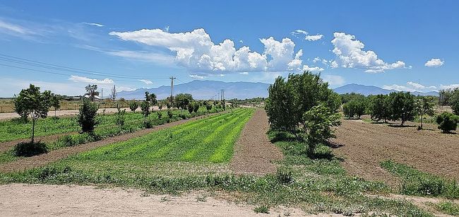 Image of 13915 W Us Highway 70