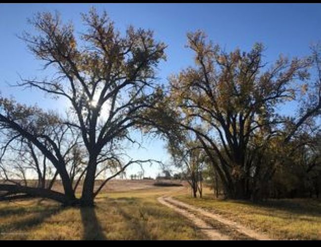 Photo of 13550 County Road D, Lakeview, TX