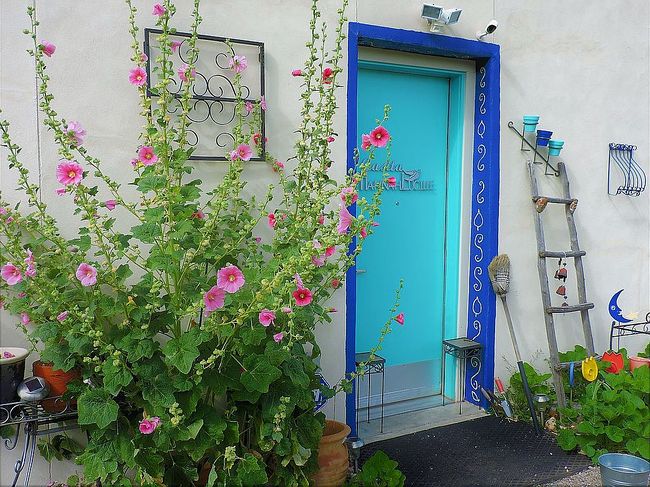 Preview of property located at 42 Amalia School Rd