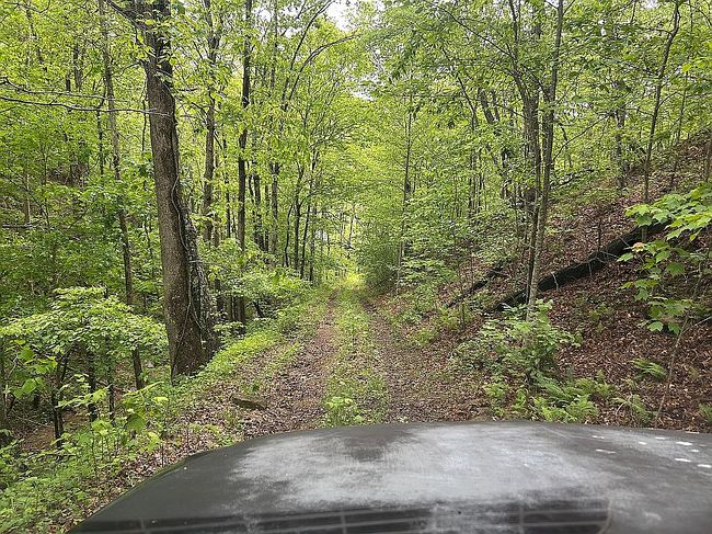 Photo of 740 Little Perry Rd #4, Morehead, KY