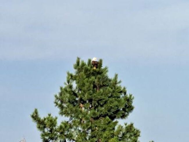 Additional photo 3 of property located at 731 Greggs Rd