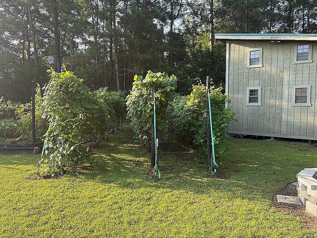 Photo of 160 Winningham Ln, Myrtle Beach, SC