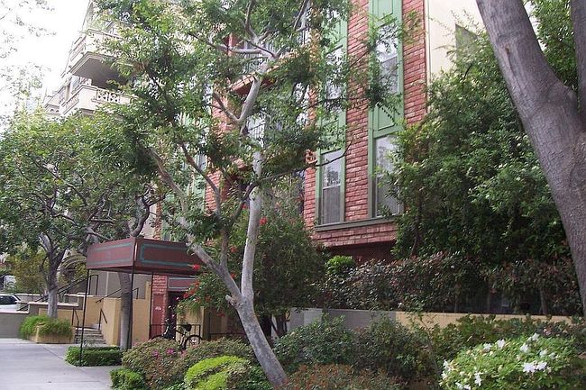 Image of 532 N Rossmore Ave Apt 209
