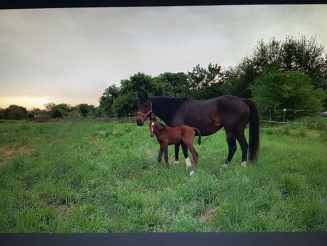 Photo of 5156 County Road 3211, Lone Oak, TX