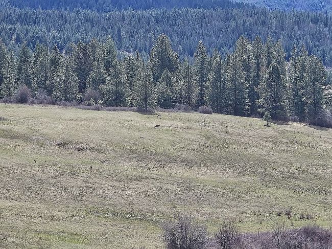 Image of 0 Wild Sky Rd
