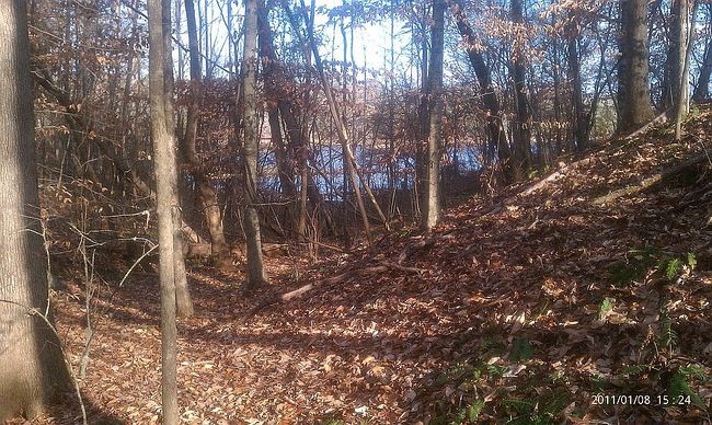 Image of 215 Wilson Creek Dr